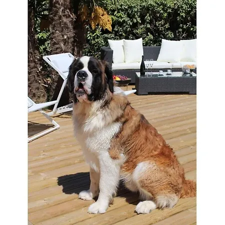 Avel Mor Comfortable * Guissény